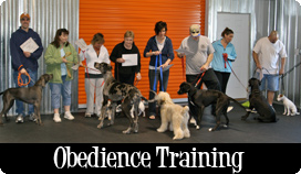 Canine Obedience Classes