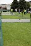 IMG_1242.JPG