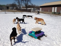 winter play.jpg